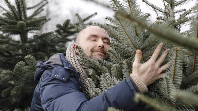 Weihnachtsbaum