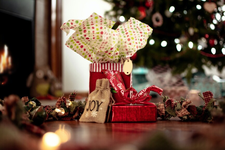 photo-1545153599-04d92985fe97