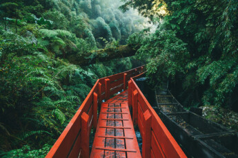 header-tt-newsletter-kw-21-24_c_Unsplash