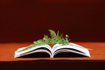 olena-bohovyk-9loGxuV7E_4-unsplash