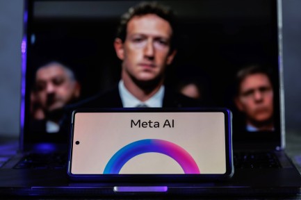 Meta AI displayed in China – 01 March 2025