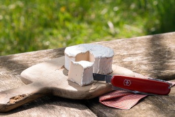 Sowohl in der Schweiz als auch in der EU darf das umgangssprachlich als „veganer Käse“ bezeichnete Produkt offiziell nicht Käse heißen. Erlaubt sind Bezeichnungen wie „pflanzliche Käsealternative“ oder „veganer Käseersatz“.