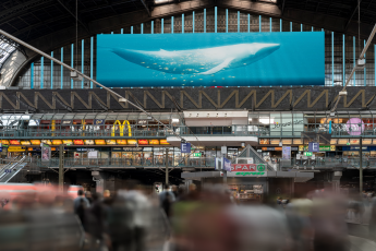 Ströer The Whale 3-D-Screen