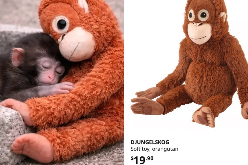 photo_2026_02_23_16.24.09