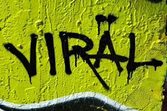 Viral oder nicht viral - das ist tatsächlich weniger die Erfolgsfrage. Eigentlich lautet sie: Wie authentisch?